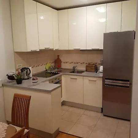 Appartement Matkovic *